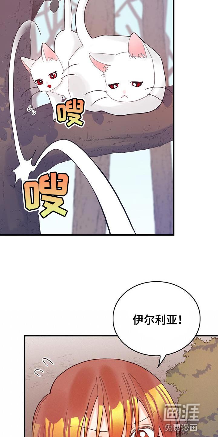 第42章：变成猫