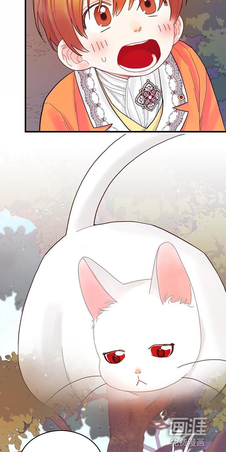 第42章：变成猫