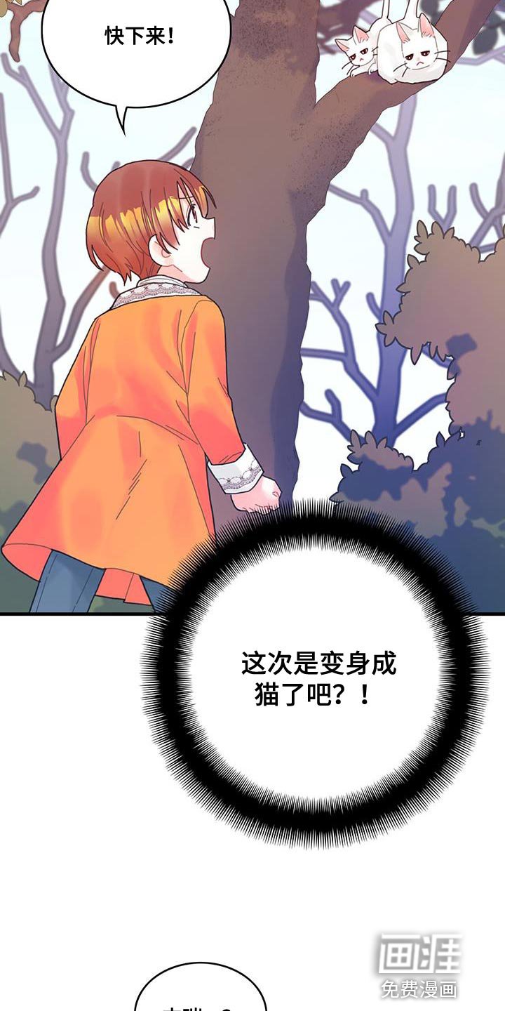 第42章：变成猫