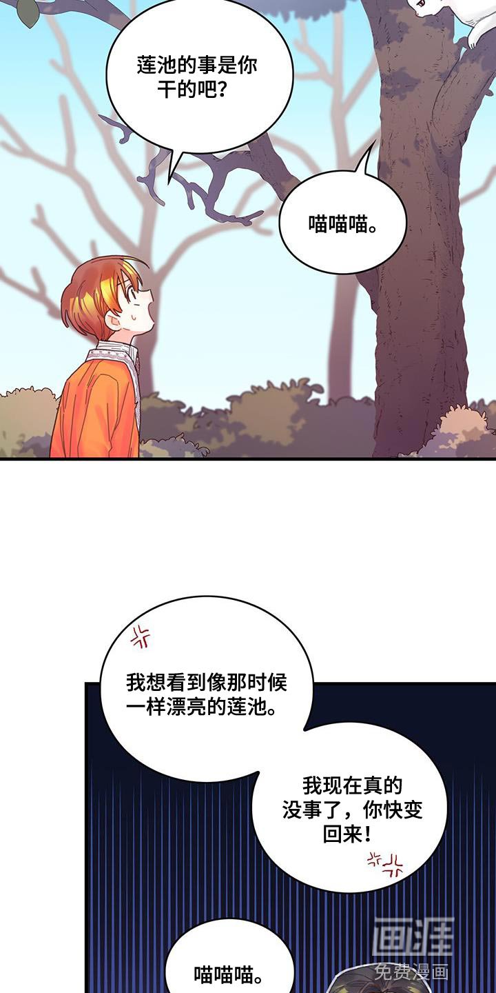 第42章：变成猫
