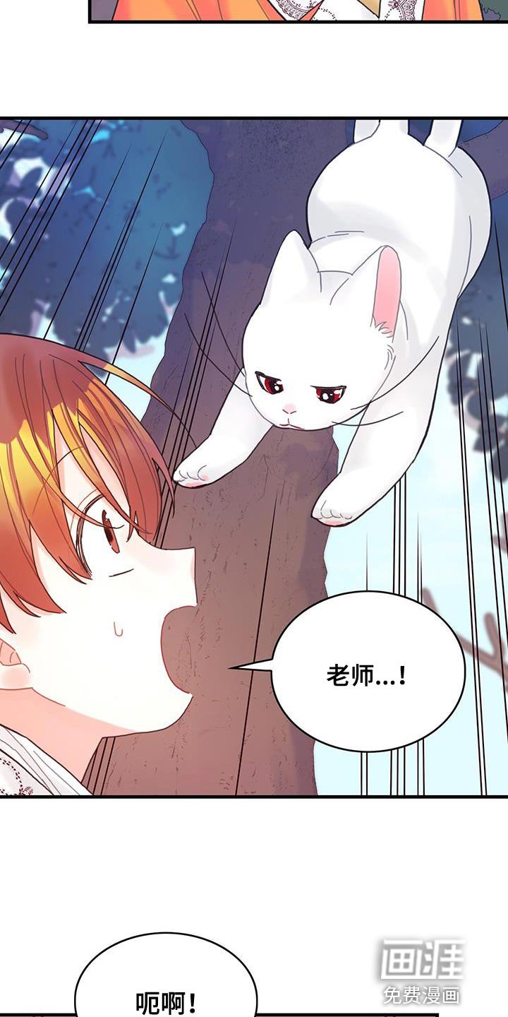 第42章：变成猫