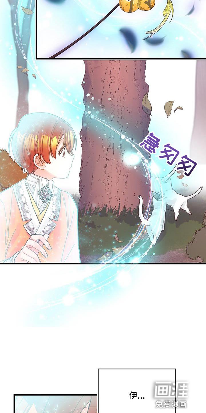 第42章：变成猫