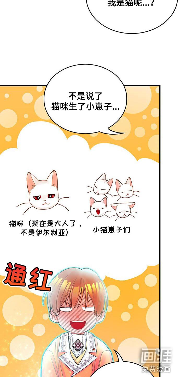 第43章：以后可以不用等了
