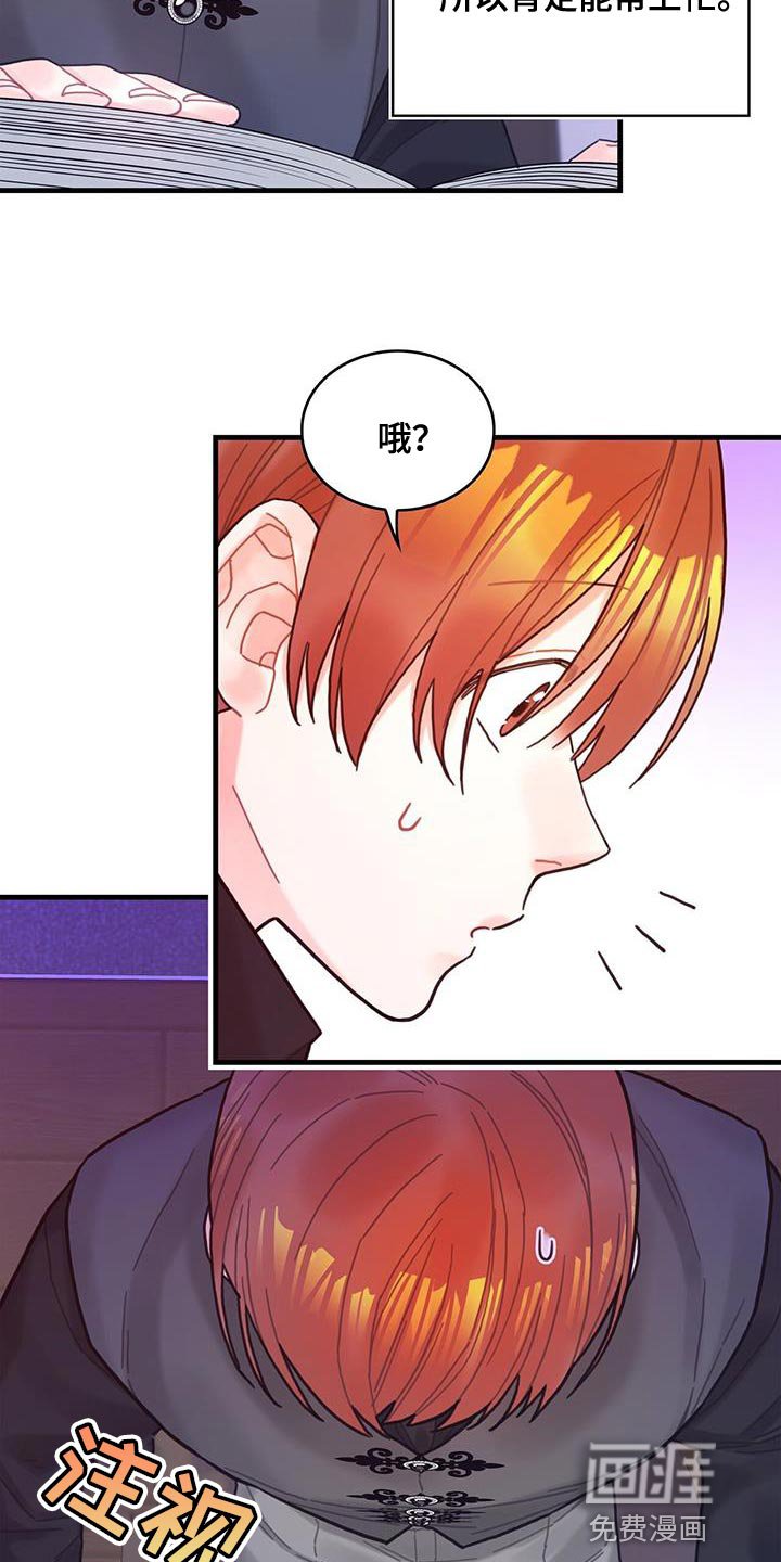 第61章：结局目录