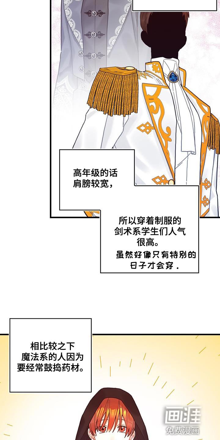 第65章：武斗会