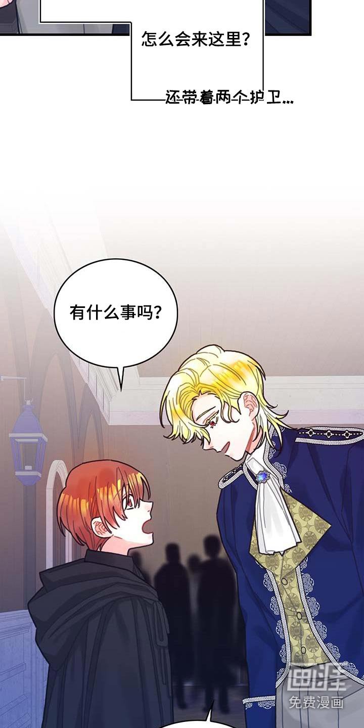第78章：活动