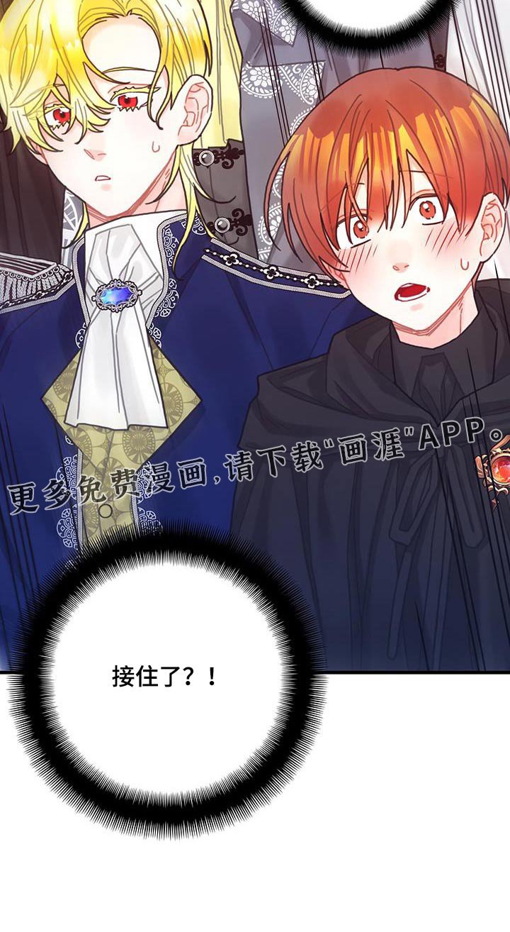 第81章：四皇子