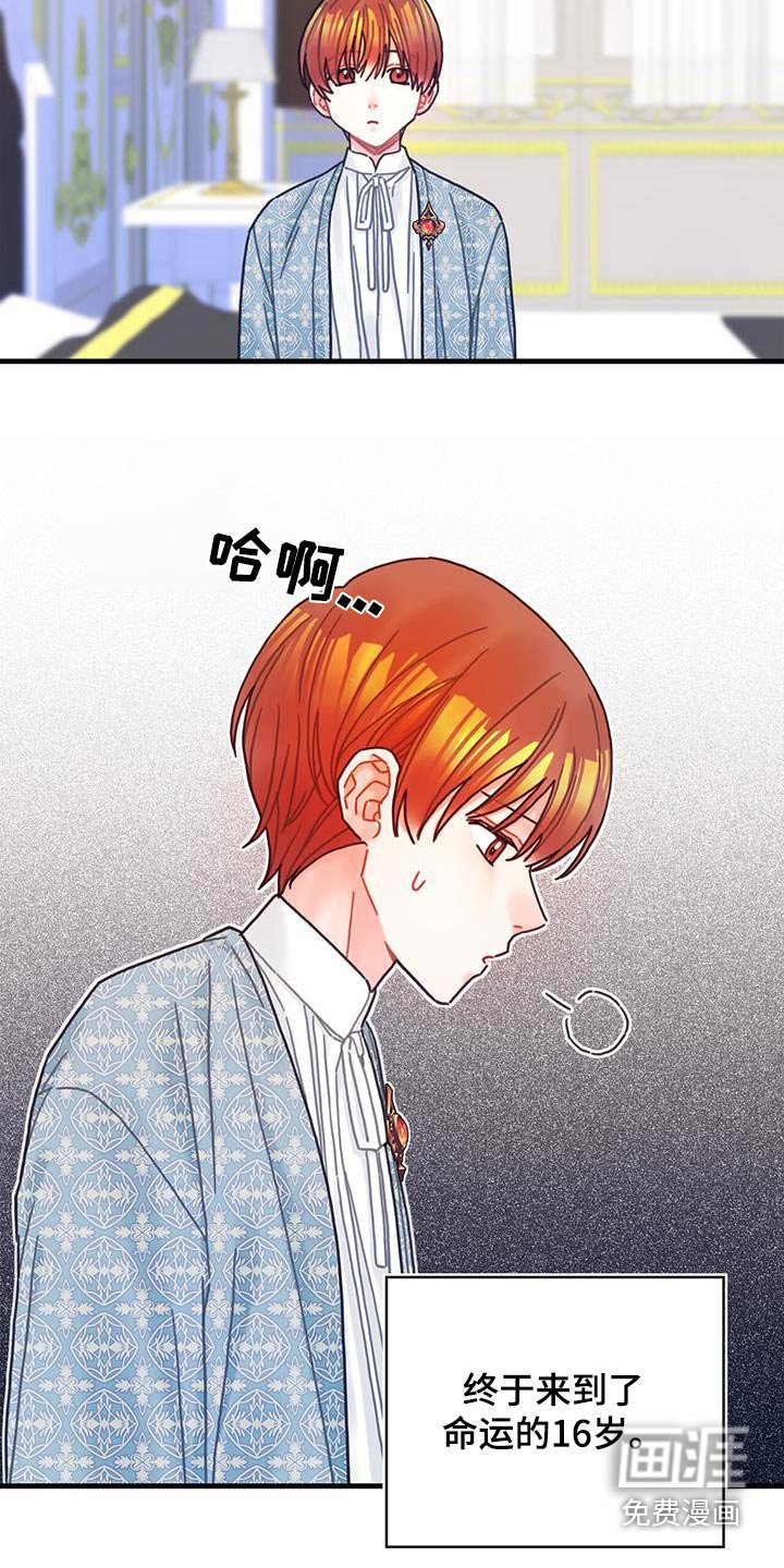 第84章：生日