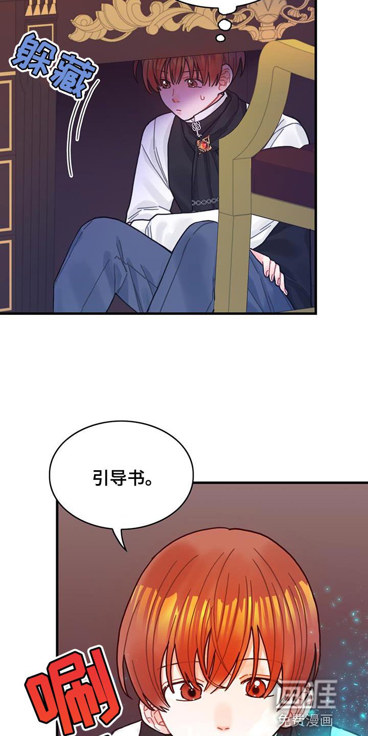 第86章：升级引导书