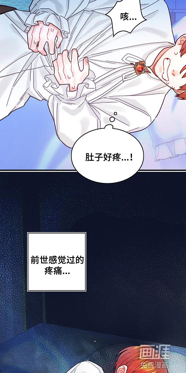 第91章：前世的疼痛