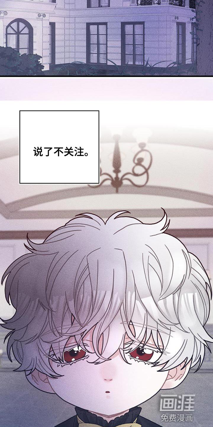 第98章：我不喜欢猫
