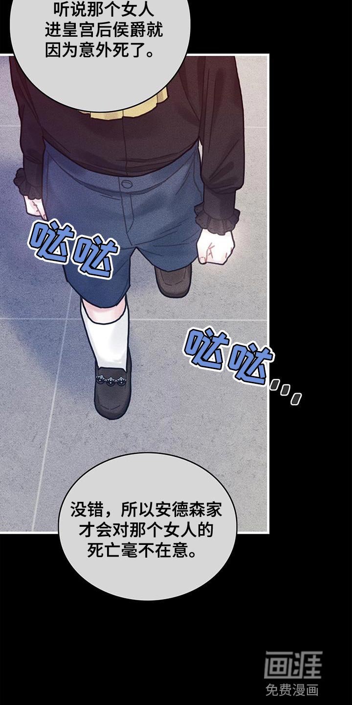 第98章：我不喜欢猫