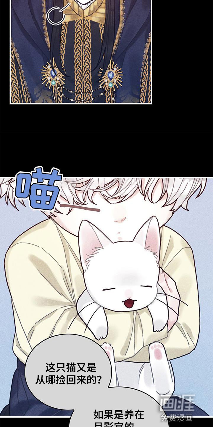 第98章：我不喜欢猫