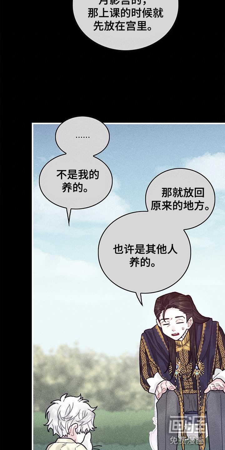 第98章：我不喜欢猫