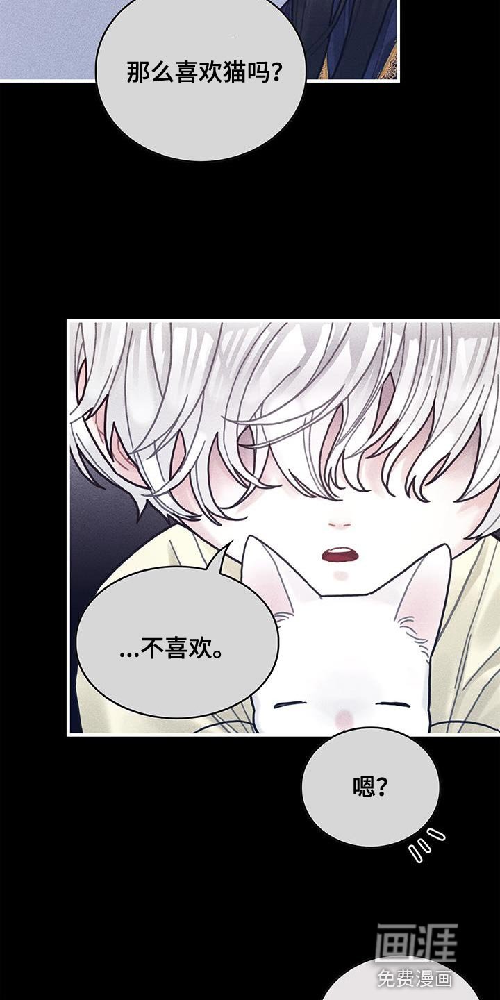 第98章：我不喜欢猫