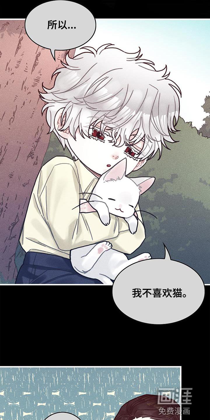 第98章：我不喜欢猫