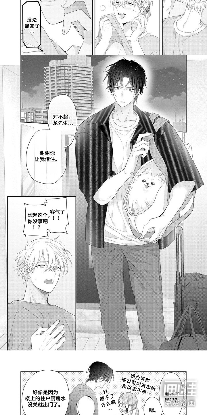 第14章：借住