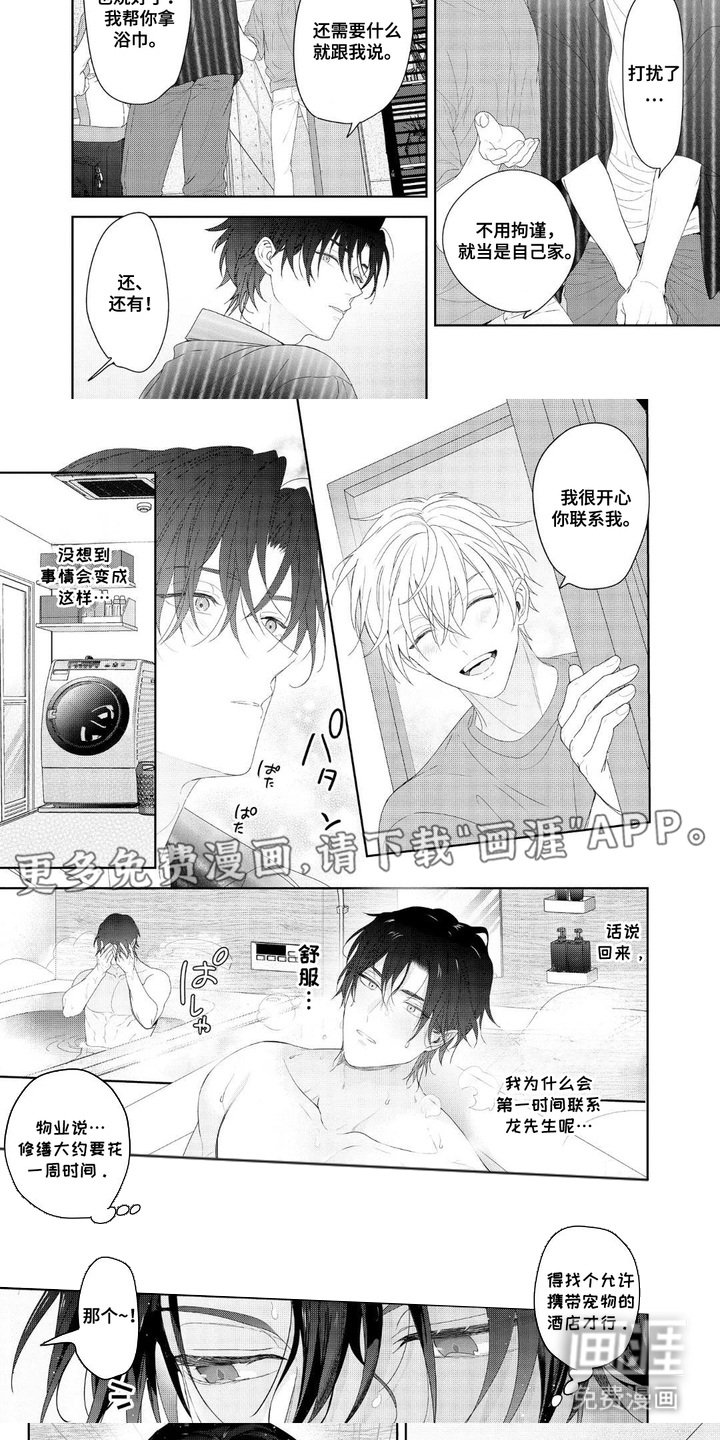 第14章：借住