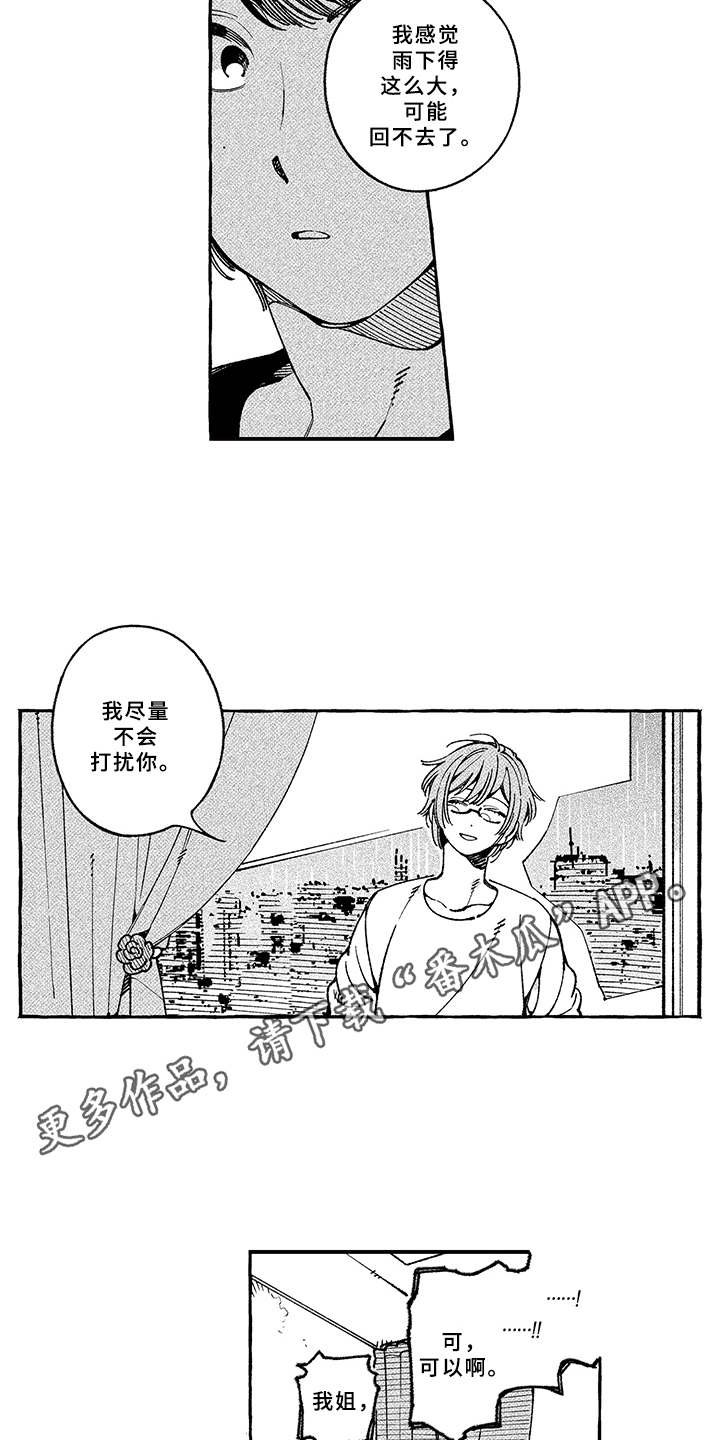 第13章：期待