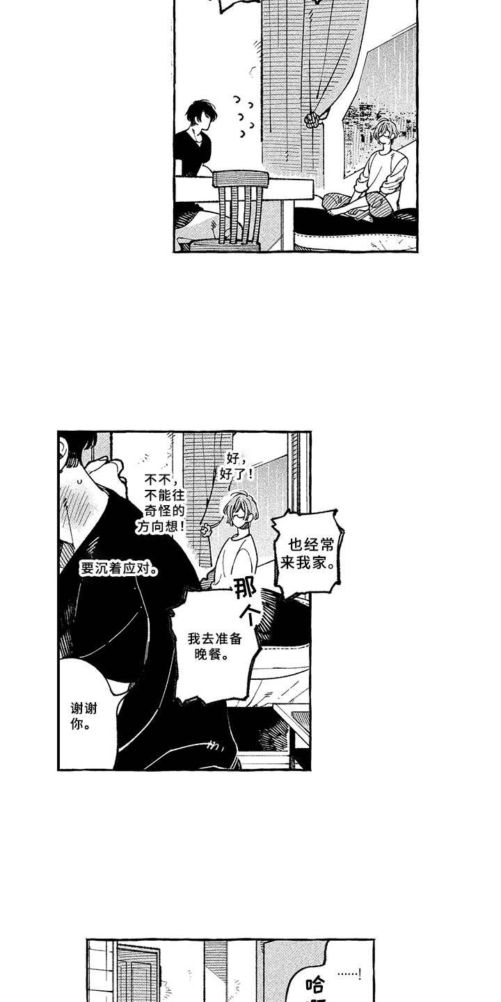 第13章：期待