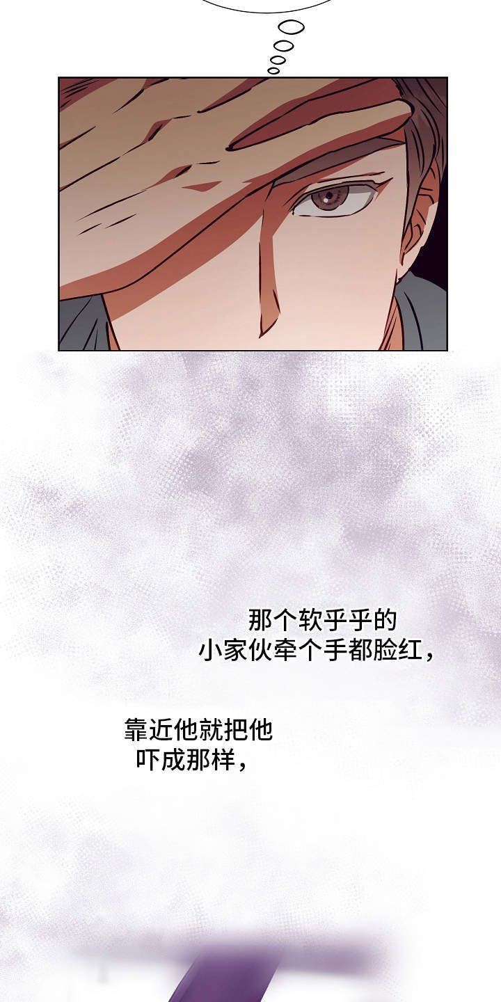 第17章：错觉