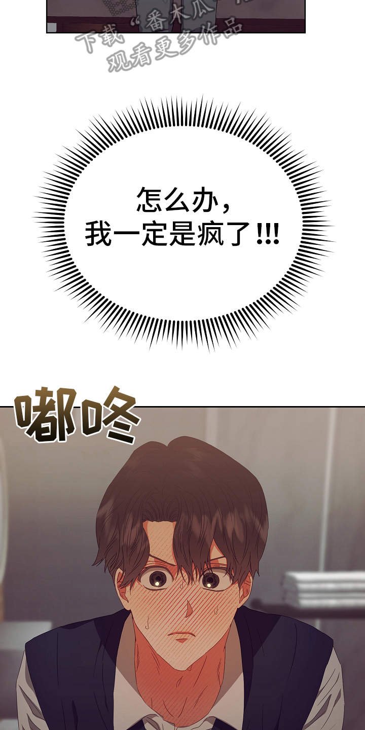 第17章：错觉