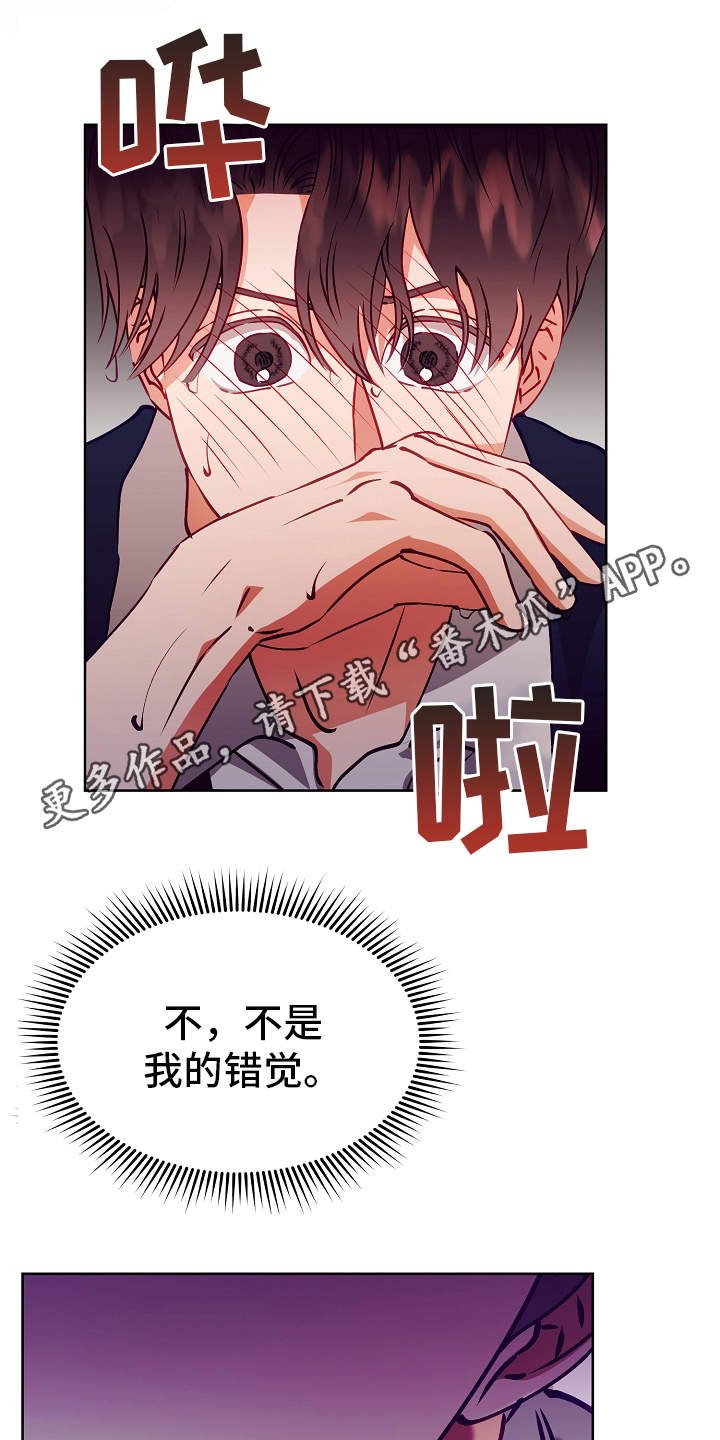 第17章：错觉