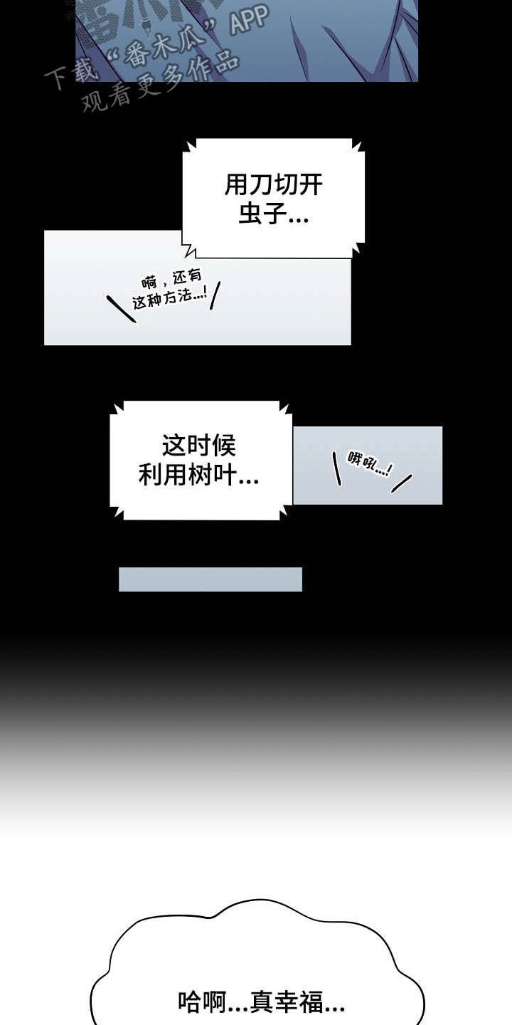 第19章：计划开始