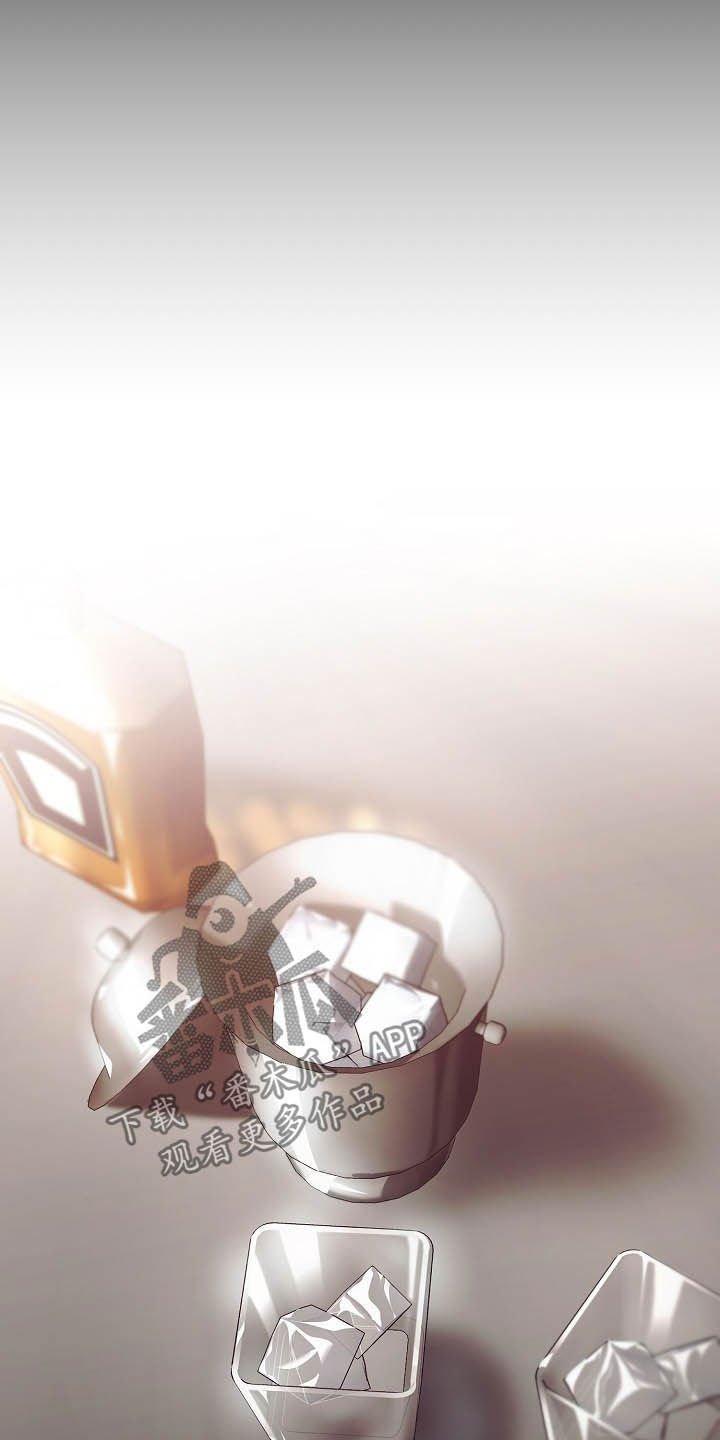 第19章：计划开始