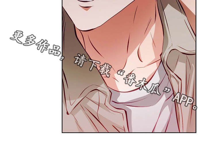 第19章：计划开始