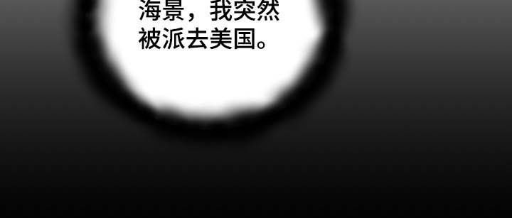 第25章：收购