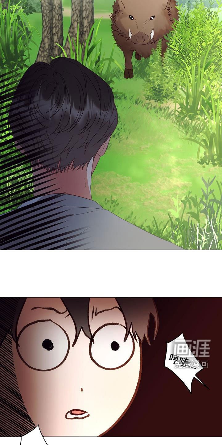 第46章：野猪