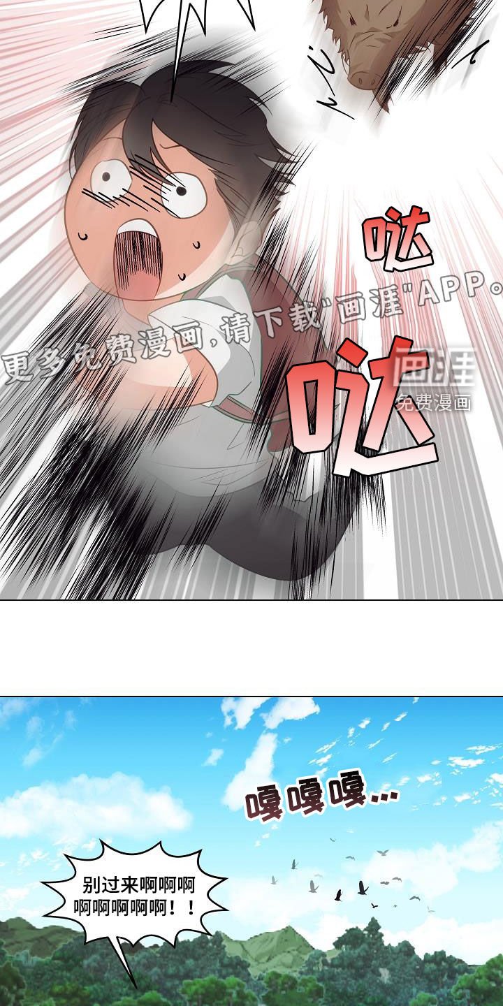 第46章：野猪