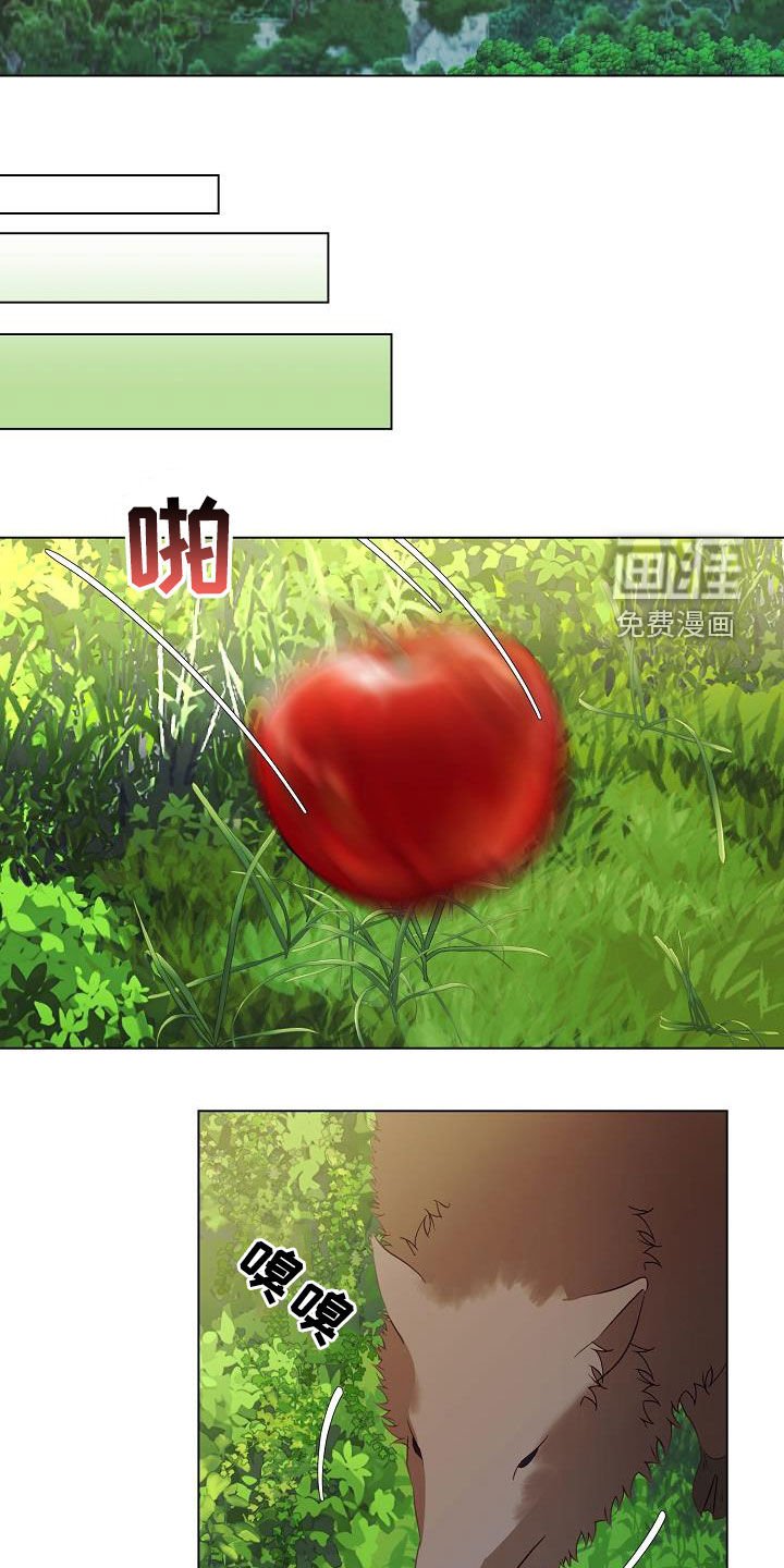 第46章：野猪
