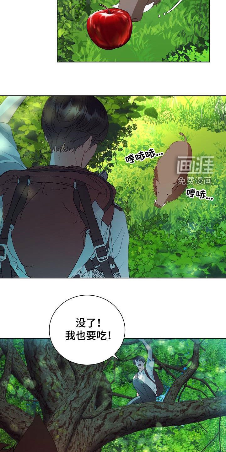 第46章：野猪