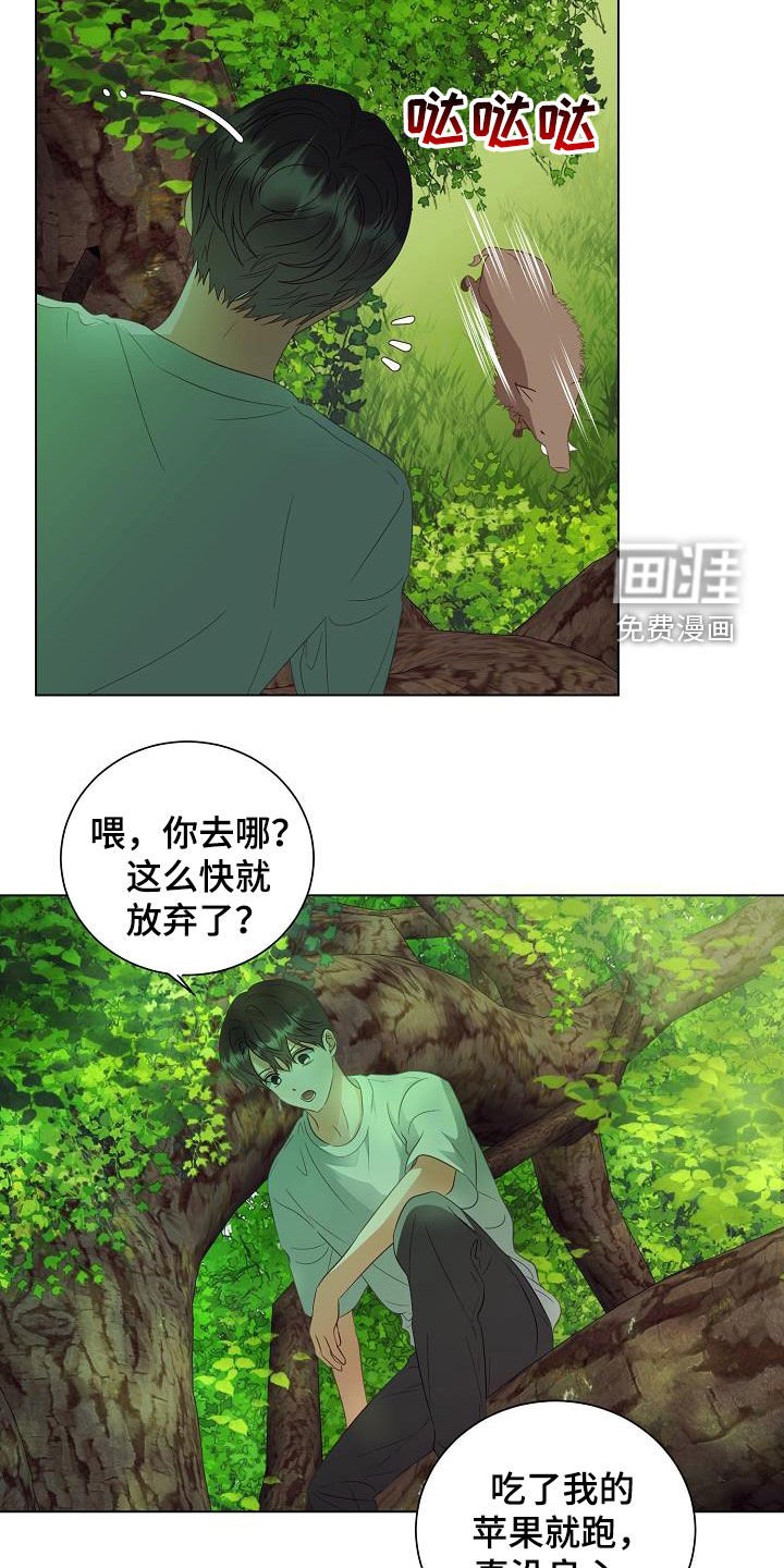 第46章：野猪