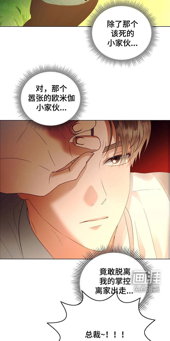 第50章：错过