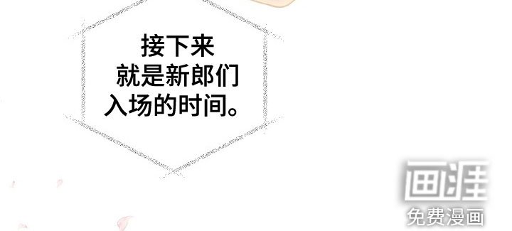 第76章：婚礼
