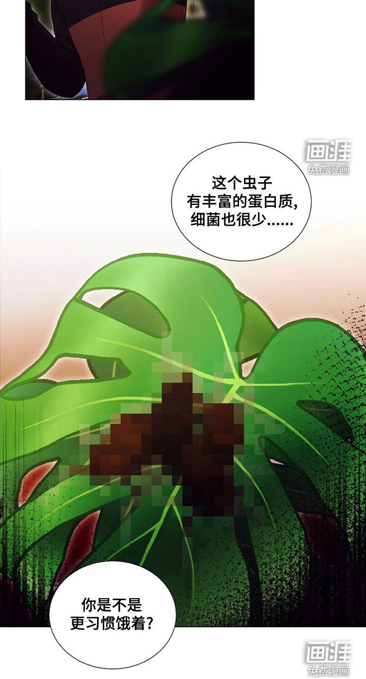 第79章：虫子