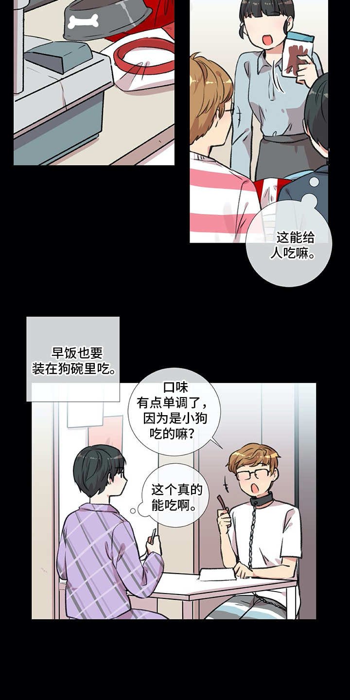 第15章：狗崽子