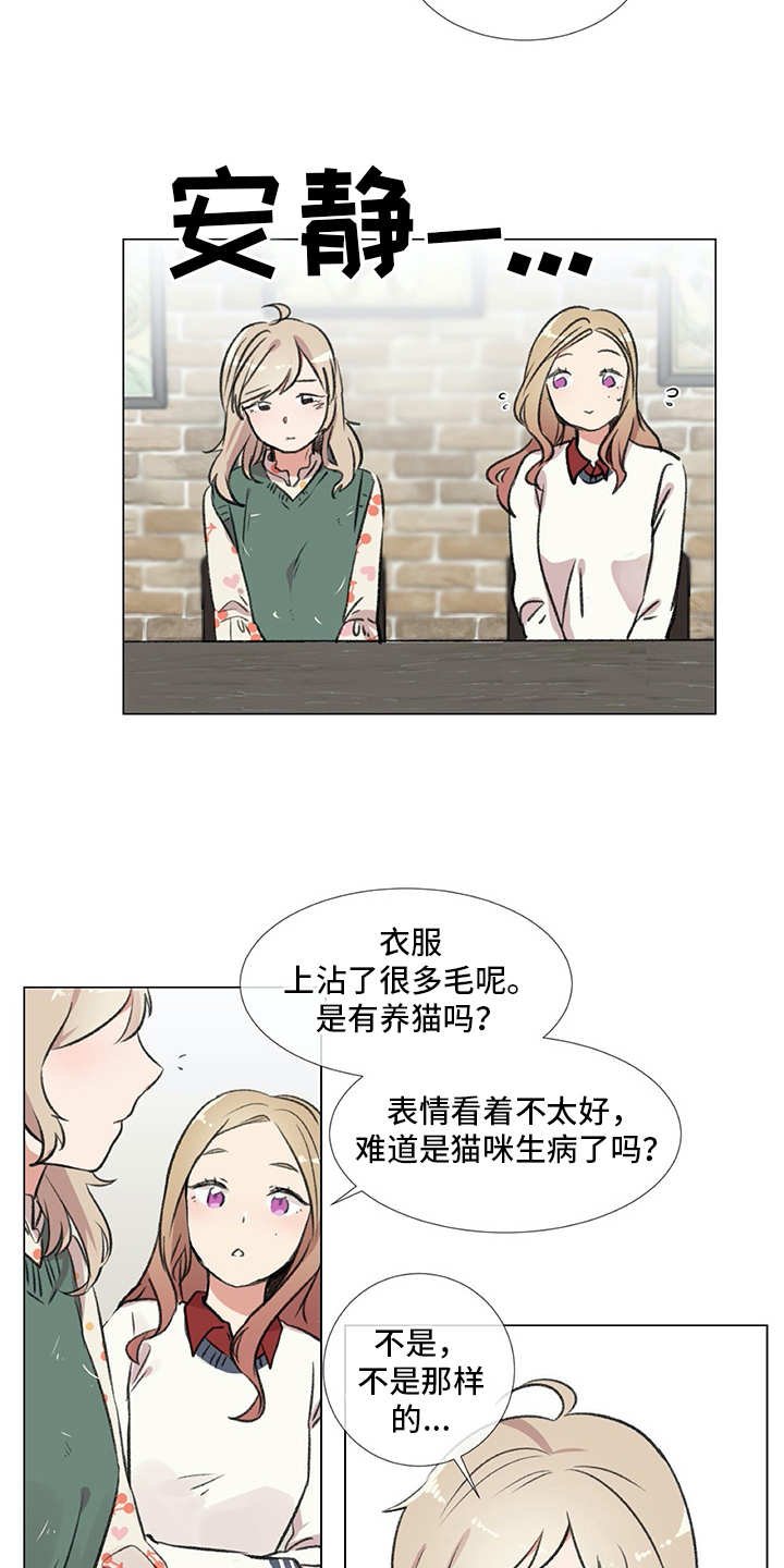 第18章：猫奴
