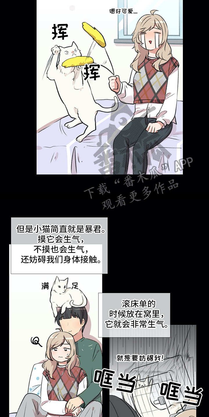 第18章：猫奴