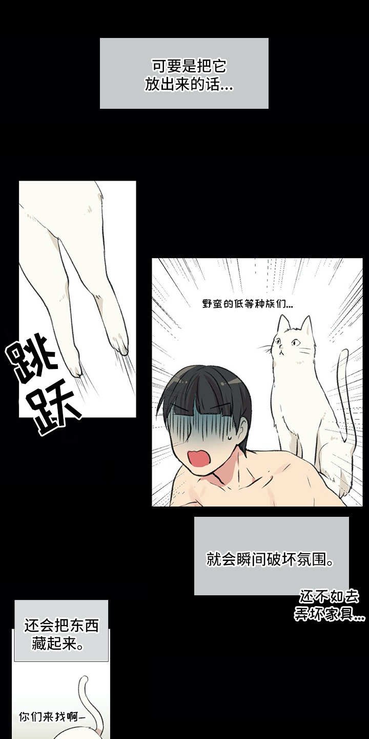 第18章：猫奴