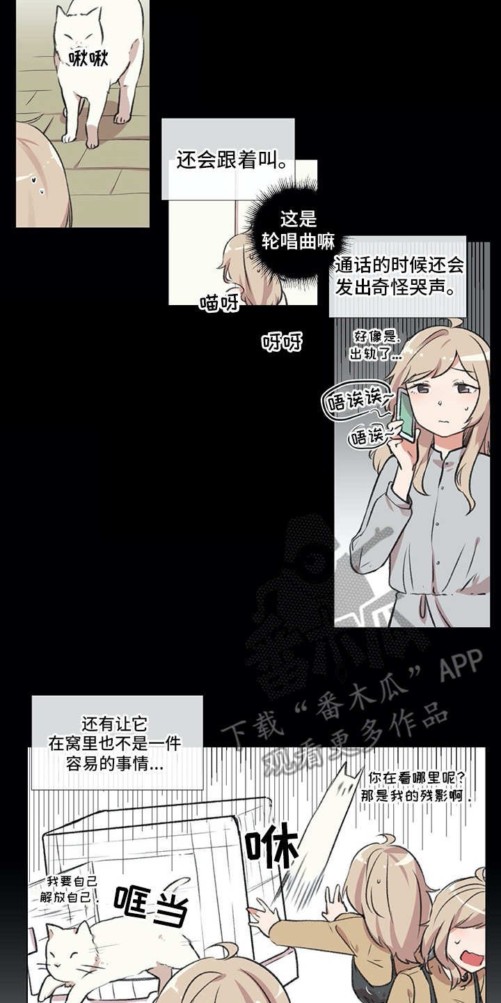 第18章：猫奴