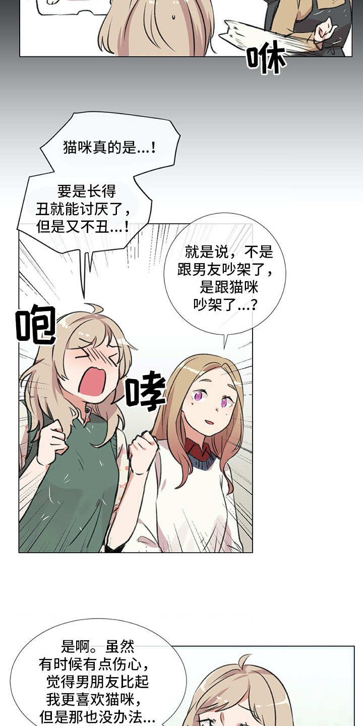 第18章：猫奴
