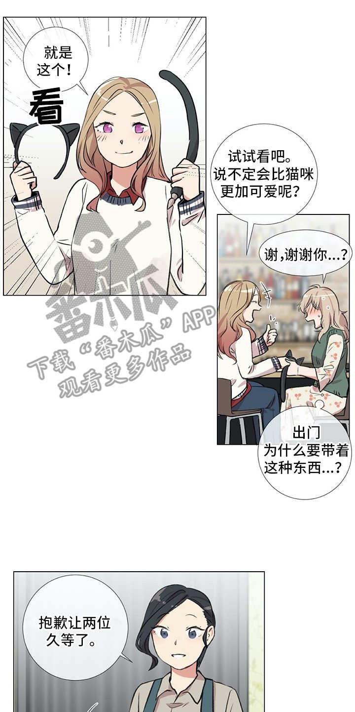 第18章：猫奴