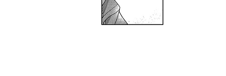 第15章：直击心脏