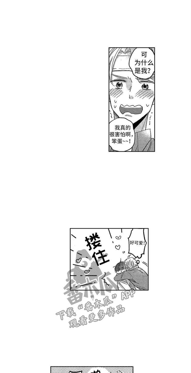 第20章：豁然开朗