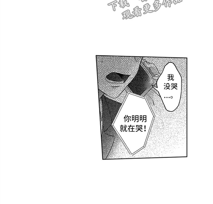 第25章：真实的想法