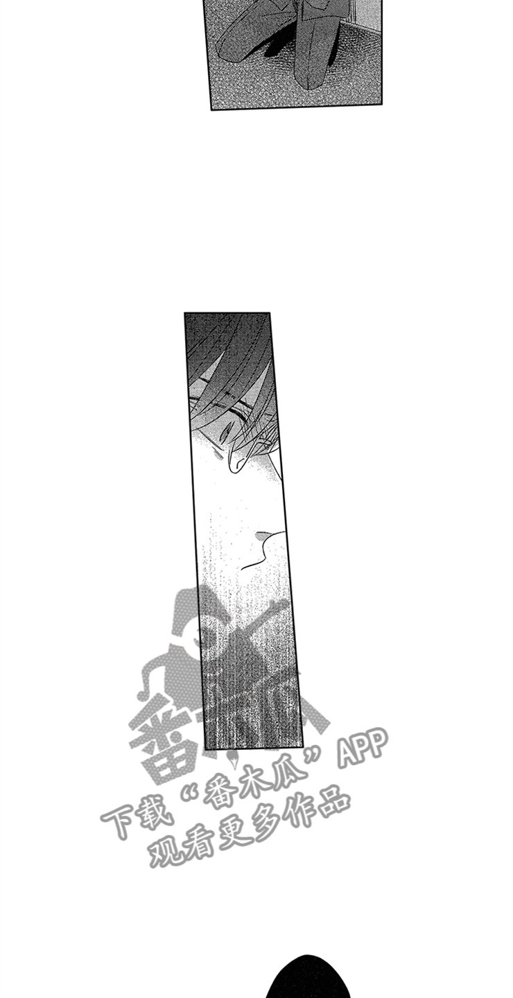 第25章：真实的想法